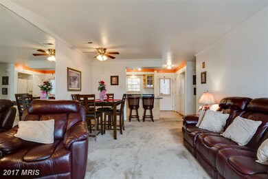 9252 Cherry Ln unit 10, Laurel, MD 20708 - photo 7