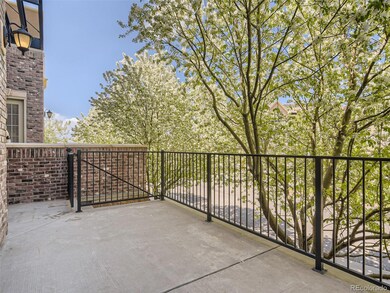1000 Elmhurst Dr unit C, Highlands Ranch, CO 80129 - photo 5