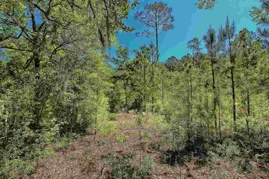 0 Bostic Pelt Rd unit 292682, Crawfordville, FL 32327 - photo 7