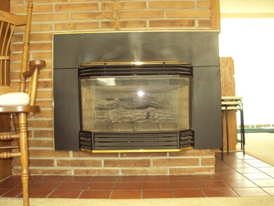 1746 Aleutian Fireplace