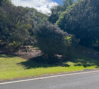 2501 Kilauea Ave, Hilo, HI 96720 - photo 2