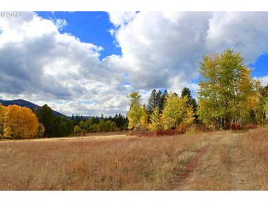 2034 Dry Creek Rd, Chewelah, WA 99109 - photo 2