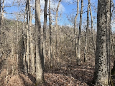 000 Ottofy Way, Eminence, MO 65466 - photo 3