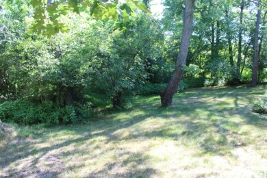 Rear Yard