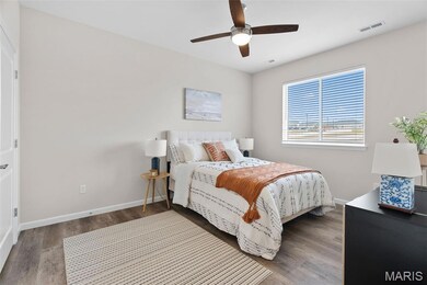 897 Walter Way, Washington, MO 63090 - photo 5