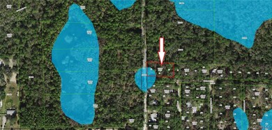 5711 E Squaw Ct, Hernando, FL 34442 - photo 3