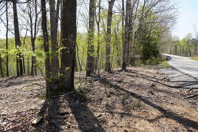 1 Highway 232, Stewart, TN 37175 - photo 5