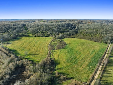 1 Hicks Ln W, Columbia, TN 38401 - photo 6