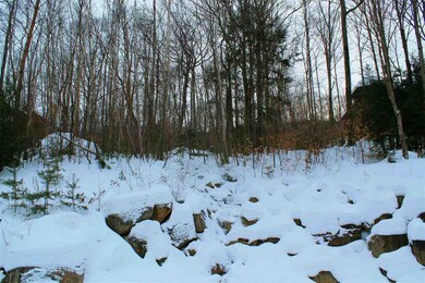 19 Hemlock Dr unit Homesite 25, Lincoln, NH 03251 - photo 4