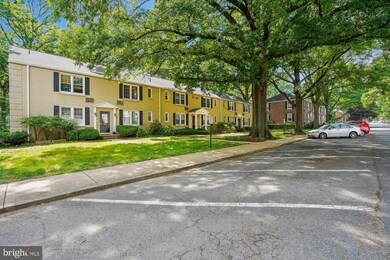 228 N Thomas St unit 4, Arlington, VA 22203 - photo 3