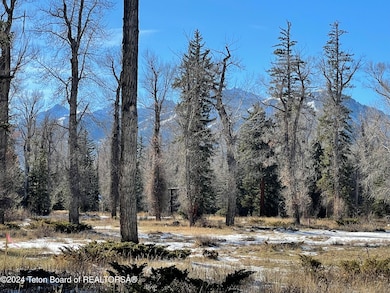 250 E Phelps Canyon Rd, Jackson, WY 83001 - photo 3