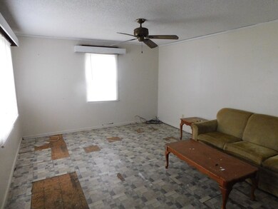 413 E Revels Ave, Lenox, GA 31637 - photo 6