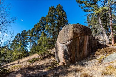 0 Arrowhead Rd, Florissant, CO 80816 - photo 7