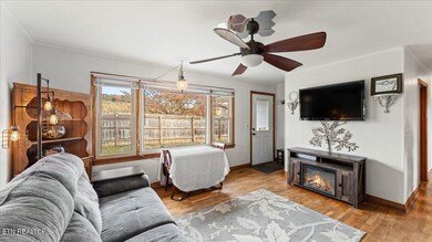 10528 Thorngrove Pike, Strawberry Plains, TN 37871 - photo 6