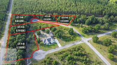 34 Boardwalk Ave, Jesup, GA 31545 - photo 3