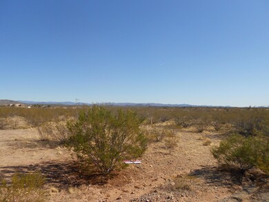 21025 W Date Creek Rd unit 11A, Wickenburg, AZ 85390 - photo 3