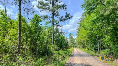 Red Root Drive-3