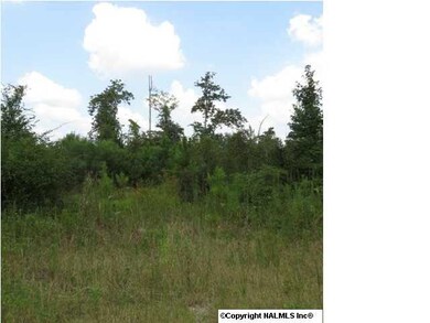 0 Shields Ave, Rainbow City, AL 35906 - photo 2