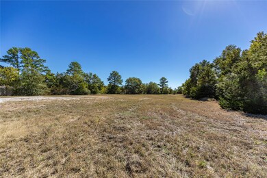 351 E Glenn St, Bellville, TX 77418 - photo 3