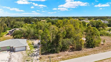 Aerial view of a heavily wooded area