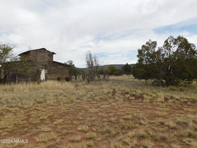 817 W Highland St, Ash Fork, AZ 86320 - photo 5