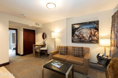 26 Avondale Ln unit 313-H, Beaver Creek, CO 81620 - photo 5