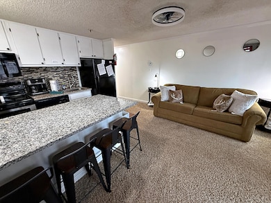 237 Mountain Lodge, Snowshoe, WV 26209 - photo 3