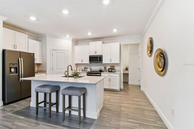 9967 Red Bay Loop, Land O' Lakes, FL 34637 - photo 2