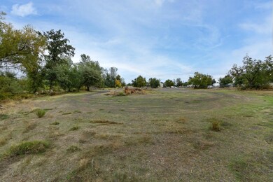 0 Nut Tree Ln, Cascade, CA 96007 - photo 6