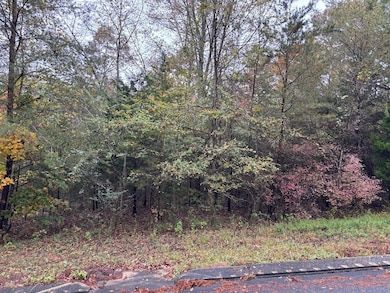 3 Countryside Dr, Dunlap, TN 37327 - photo 2