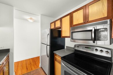 81 6th Ave unit 202, La Grange, IL 60525 - photo 6