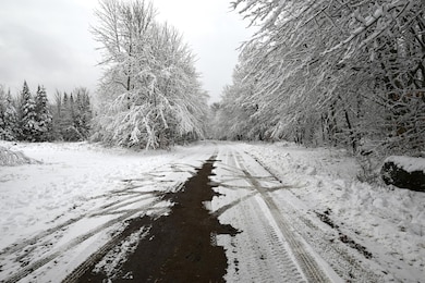 0 Walkerville Rd, Brandon, NY 12966 - photo 3