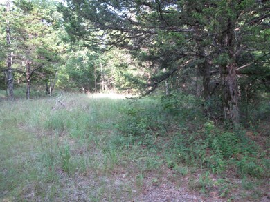 IMG_1354 (Large)