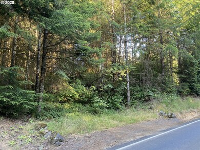 0 Germany Creek Rd unit 20119868, Longview, WA 98632 - photo 5