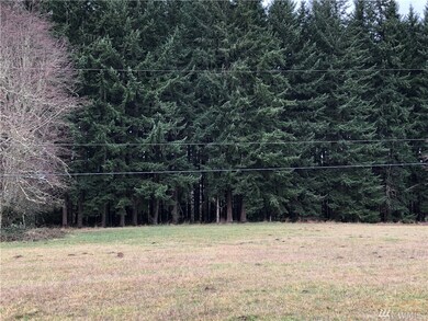 0 Orville Rd E unit 1560170, Orting, WA 98360 - photo 2