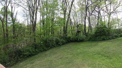 1321 Celeste Ave, Morristown, TN 37814 - photo 5