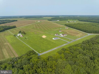 389 Sugar Stick Rd, Harrington, DE 19952 - photo 4