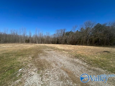 4277 Hobbs Island Rd, Owens Cross Roads, AL 35763 - photo 4