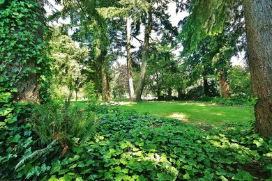 22312 30th Ave S, Des Moines, WA 98198 - photo 4