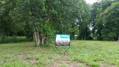 0 Sandra unit 26444395, Houston, TX 77028 - photo 4