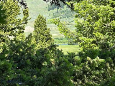 Madison River View from Lot 17