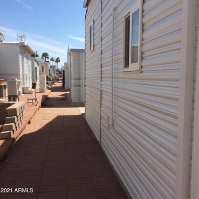 Back Area