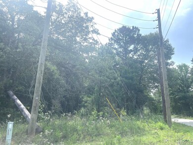 View of wooded area