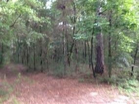 xx Crawfordville Hwy, Crawfordville, FL 32327 - photo 2