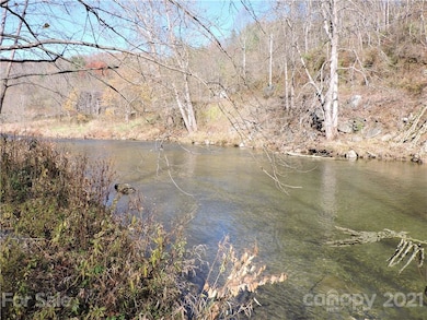 60 Snake Bite Holler Ln, Burnsville, NC 28714 - photo 6