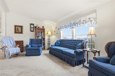 811 Wild Violet Dr, Pittsburgh, PA 15239 - photo 5