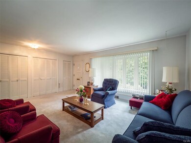 Large Living Room