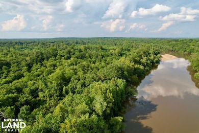 0 Dead River Rd Glenwood unit Ga., Glenwood, GA 30428 - photo 6