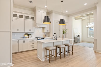 108 Travellers Palm Way, Broussard, LA 70518 - photo 7