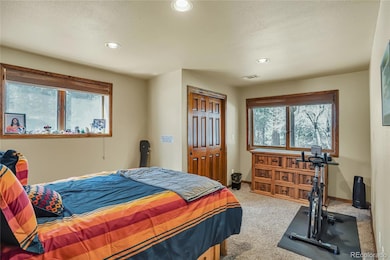6180 N Wilder Ct, Parker, CO 80134 - photo 7